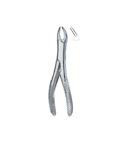 Teeth and Roots ,Universal 150SK