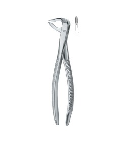 Tooth Ext Forceps