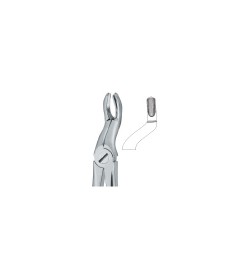 Tooth Ext Forceps