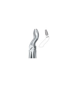 Tooth Ext Forceps