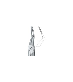 Tooth Ext Forceps