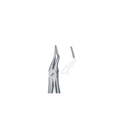 Tooth Ext Forceps