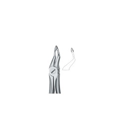 Tooth Ext Forceps
