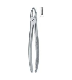 Incisors and Bicuspids 1