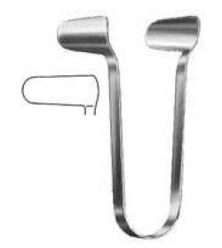 Goldsmith (Thudichum)